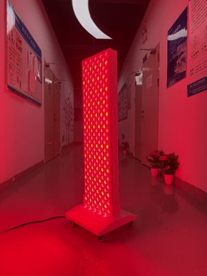 खरीदें High Power 2000W Red + Near Infrared Light Panel – OEM Factory with Pulse Mode & Brightness Control ऑनलाइन निर्माण