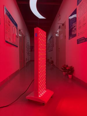 खरीदें OEM Factory Supply 2000W Red Light Therapy Panel – 630/660/810/830/850nm Wavelength Options ऑनलाइन निर्माण