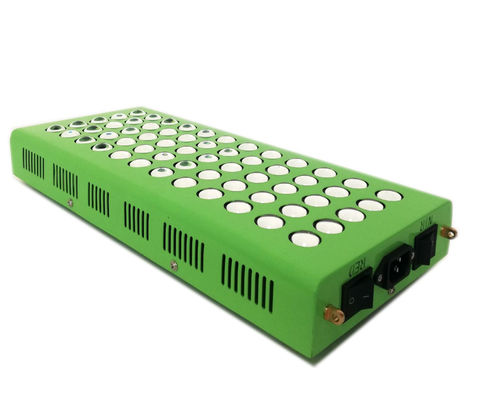 घुटने के दर्द के लिए 300W 660nm 850nm एंटी एजिंग इन्फ्रारेड लाइट थेरेपी