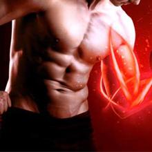 इन्फ्रारेड एलईडी लाइट थेरेपी डिवाइस एल्यूमिनियम मिश्र धातु के पास 600W घरेलू उपयोग 1