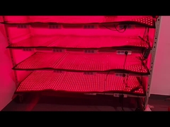 कस्टम 660nm 850nm रेड लाइट थेरेपी 120pcs एलईडी वजन घटाने उपकरण