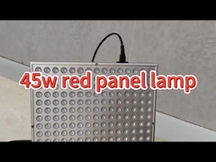 पीठ दर्द के लिए चिकित्सा स्वीकृत 50W एंटी एजिंग इन्फ्रारेड लाइट थेरेपी