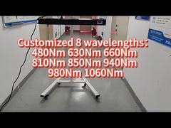 660nm 850nm 1000w फुल बॉडी एलईडी लाइट थेरेपी व्यावसायिक होम उपयोग